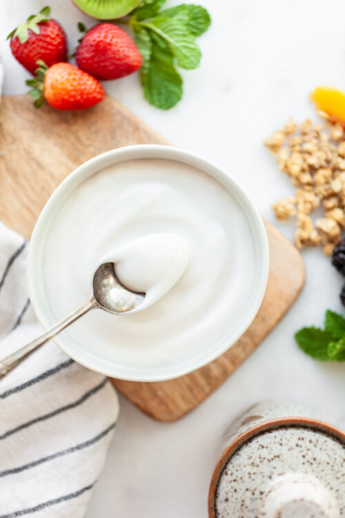 How To Make Plain Yogurt Taste Good!