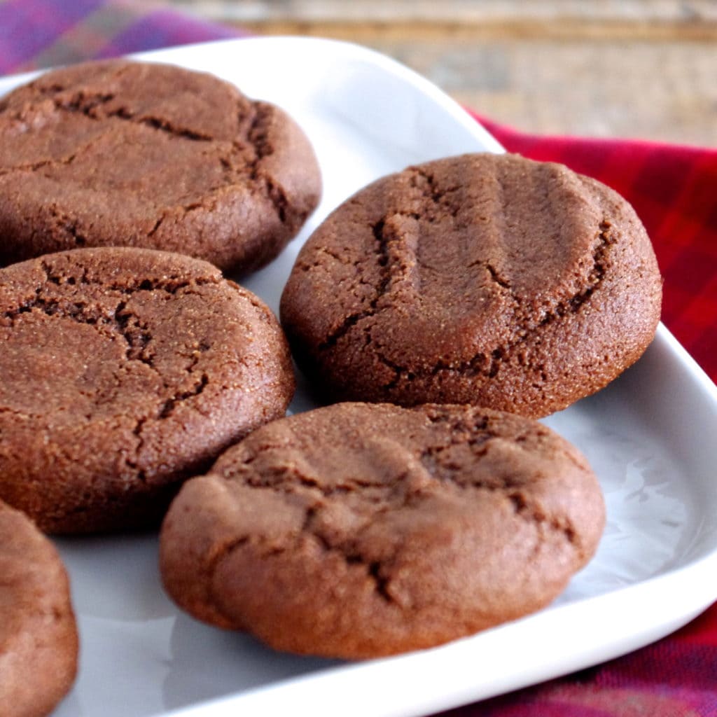 Double Chocolate Cookies | Nutrition in the Kitch