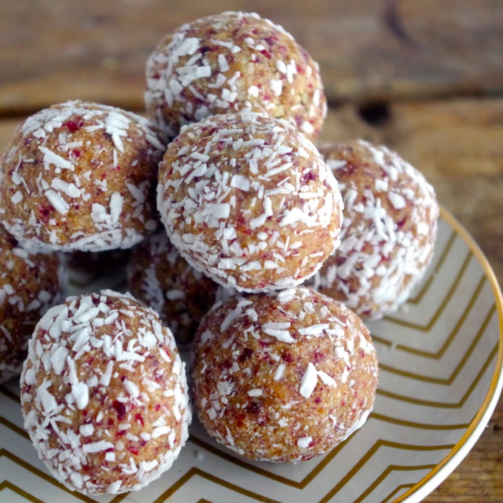 Vanilla Cranberry Cashew Protein Balls | Nutrition in the Kitch