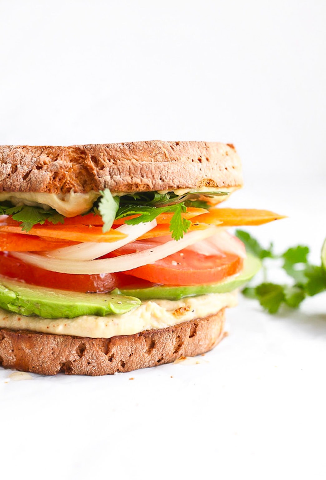11 Yummy Plant Based Sandwiches Nutrition in the Kitch