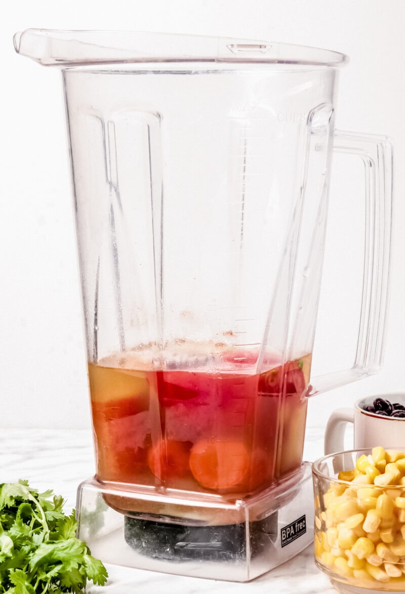 Easy Blender Vitamix Tortilla Soup