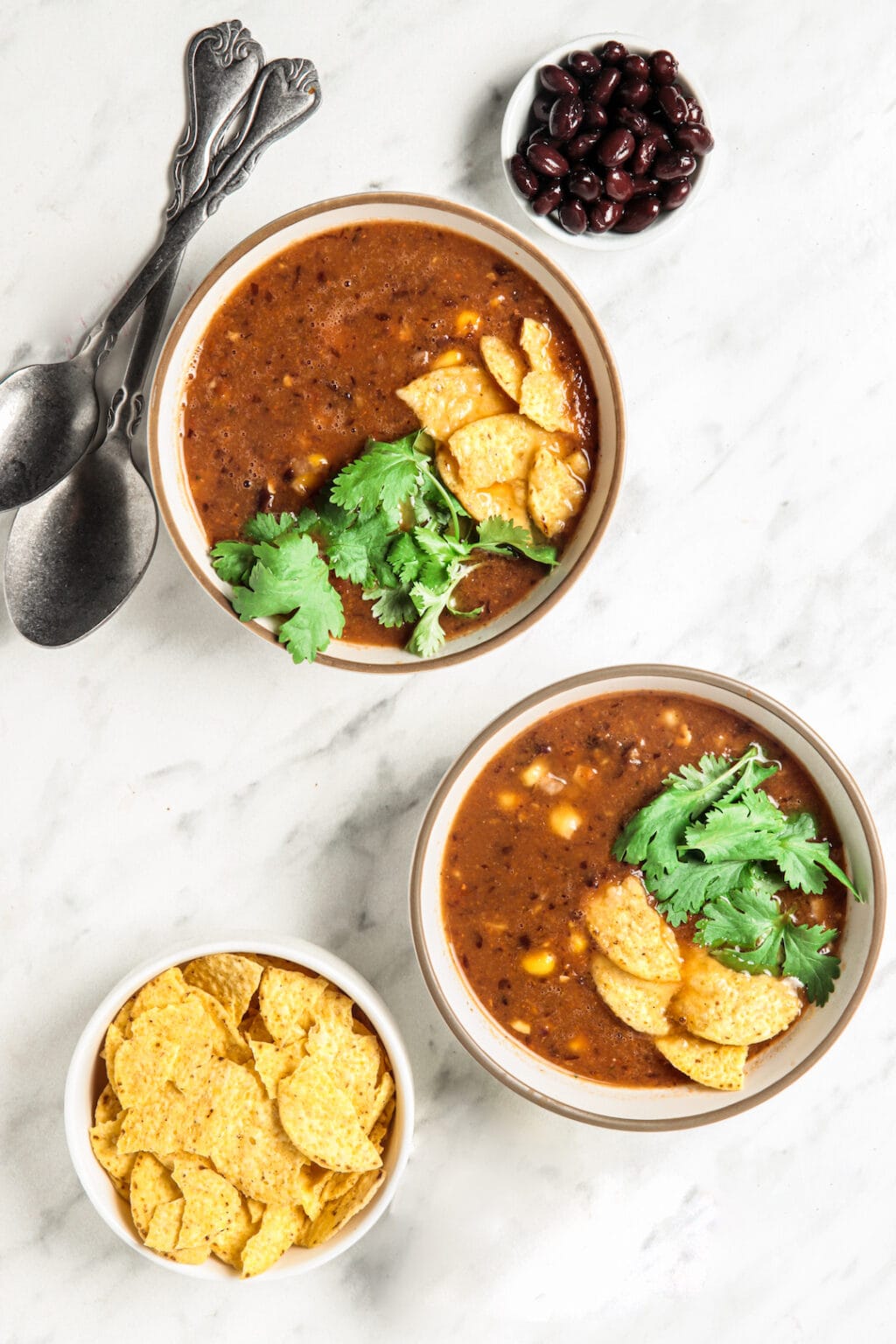 Easy Blender Vitamix Tortilla Soup